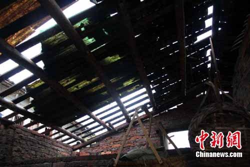 江西贛南遭遇8級(jí)大風(fēng)襲擊 4米高大樹被連根拔起