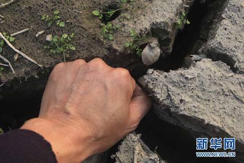 江西省湖口縣境內(nèi)鄱陽(yáng)湖湖灘上干涸的裂縫中可以放進(jìn)一只成年人的拳頭（12月10日攝）。新華社發(fā)（張俊 攝）