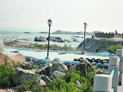 紅礁石強(qiáng)拆首日靜悄悄 相關(guān)部門(mén)未有行動(dòng)