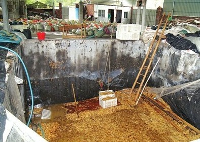 數(shù)十平方米的大池子，黑心商家用工業(yè)檸檬酸泡出35噸金針菇
