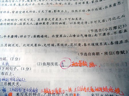這是6月18日，網(wǎng)友“啃梨掉顆牙”發(fā)在網(wǎng)上的試卷照片。