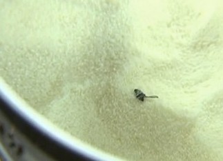進(jìn)口合生元奶粉吃出蒼蠅 超市稱開罐就不驗