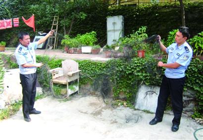 延吉路空地現(xiàn)絕戶網(wǎng) 小鳥(niǎo)被掛奄奄一息