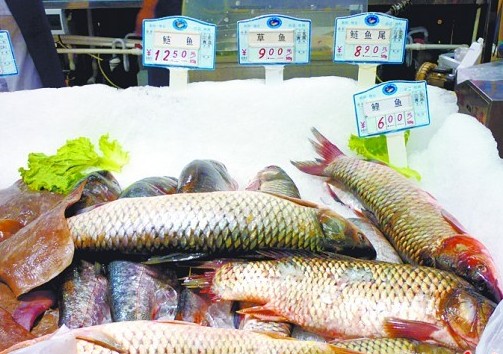 青島人一天吃掉5萬(wàn)斤淡水魚 草魚最受歡迎