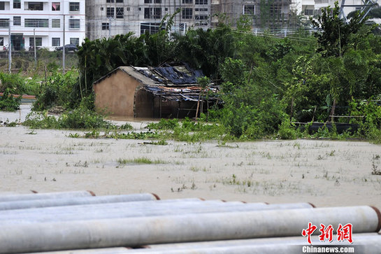 臺(tái)風(fēng)山神過(guò)境三亞大風(fēng)暴雨 市民街上下網(wǎng)捕魚