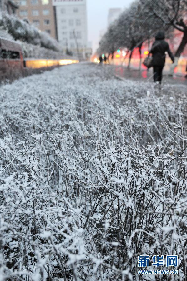 （生態(tài)）（3）內(nèi)蒙古東部、東北大部遭遇寒潮降雪天氣