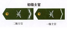 人人都該知道的軍銜常識(shí) 必須看