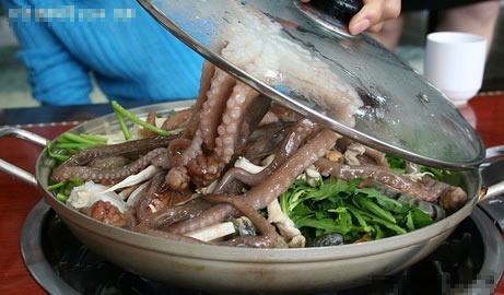 2，活章魚；韓國(guó)