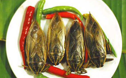 3，蚱蜢；烏干達(dá)