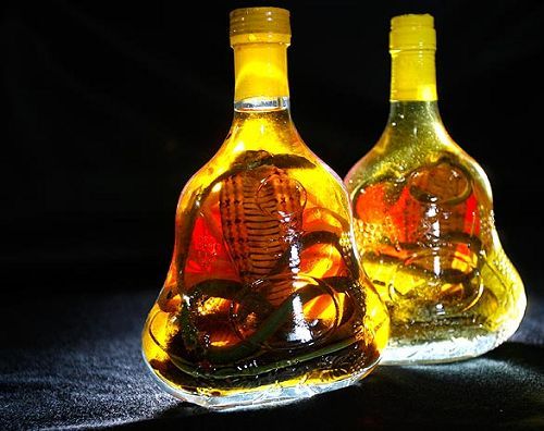 8，蛇酒；越南