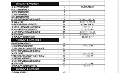 舉報(bào)人周筱赟貼出的中華兒慈會(huì)2011年財(cái)務(wù)報(bào)表，并標(biāo)出可疑項(xiàng)目。網(wǎng)絡(luò)截圖