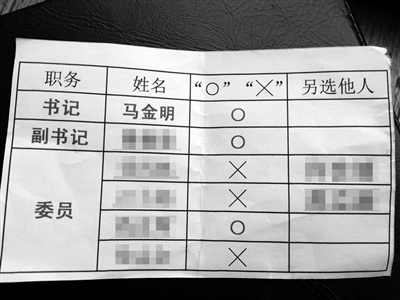 部分黨員提供的“選票”。新京報(bào)記者 劉珍妮 攝