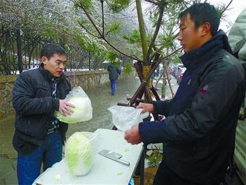 市人大代表、政協(xié)委員關(guān)注“菜事”建議拓寬銷(xiāo)售渠道