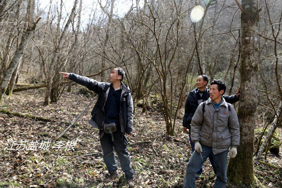 2013年3月4日，陜西省安康市鎮(zhèn)坪縣，隨周正龍上山人員研究尋虎方案。李根/CFP